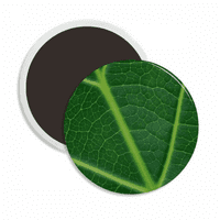 Tamnozelena ilustracija prirode uzorak uzorak okrugli cerac frižider magnet zadržavajući ukras
