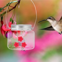 Rosarivae na otvorenom Hummingbird ulagač vešavši okrugli hranilica za ptice Dekorativni dovod ptica