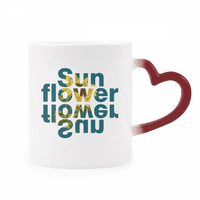 Sunce Suncokret cvijeće Flowers Senfication Crvena boja Promjena kamenog softvera