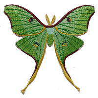 Luna moljac Butterfly Caterpillar Bug vezeni zakrpa 3,8 3,8 Besplatna poštarina