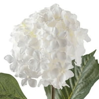Pakovanje: Bijeli hidrangea sprej Ashland®