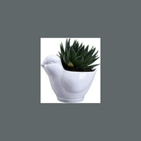 Slatki ptica sočni sadnica sa drenažnom ladicom, keramičkim kaktusom cvjetni spremnik, držač Bonsai