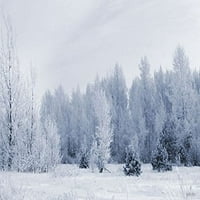 Greendecor Polyster 7x5ft Snježne šumske pozadine za fotografiju bijele nebeske pozadine za vjenčanje