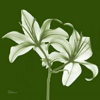 Twin Lilies na zelenom plakatu Ispis Albert Koetsier