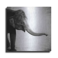 Luxe Metal Art 'Elephant II' od strane Debra kombija Pruža, metalna zidna umjetnost, 24 x24