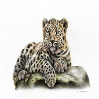 Leopard Cub Poster Print sarah koji se strpim