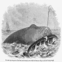 Tko kitova, 1850. na kitu prevrtanje kitova. Graviranje drveta, američki, 1850. Poster Print by