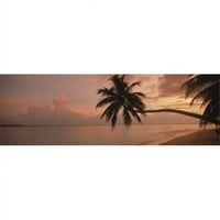 Panoramske slike Silhoueta palma na plaži na Sunrise Fihalhohi Island Maldivi Poster Print panoramskim