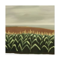 Osvjetljenje kukuruza - platno