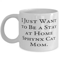 Fancy Sphyn Cat Pokloni, samo želim biti boravak kod kuće Sphyn Cat Mom, Sphyn Cat 15oz šolja od prijatelja,