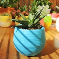 Farfi slatke sočne biljke cvjetni potpisni kosur pločice za pladanj kuće Početna Desk Garden Decor