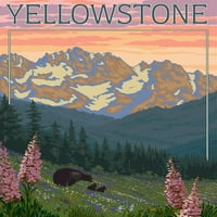 Nacionalni park Yellowstone, Wyoming, medvjed i mladunci sa cvijećem