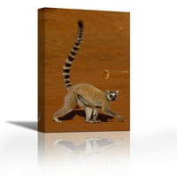 Ring-rep Lemur Hodanje, Berenty Reserve, Madagaskar - Savremena likovna umjetnost Giclee na platnu Galerija