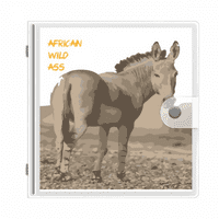 Big Cat afrički lav Art Deco modni foto album novčanik Wedding Family 4x6