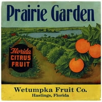 Anonimni crni moderni uokvireni muzej umjetnički print pod nazivom - Prairie Garden Citrus etiketa