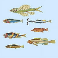 Rijetka tropska riba Istočne Indije, Indijski okean, Cejlon i Indonezijski poster Ispis Louis Renard