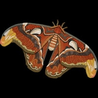 Atlas moth ženska crna heather grafički racerback tenk top - dizajn ljudi xs