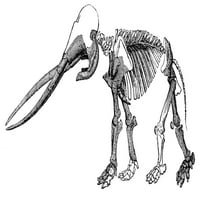 Mastodon, Cenezoički sisarski poster Ispis izvora nauke