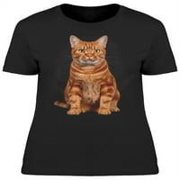 Crvena kratkodlaka mačka, sjedeće majice žene -Image by shutterstock, žensko malo