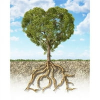 Presjek tla koji prikazuje drvo u obliku srca sa svojim korijenima kao tekstualnom ljubavlju. Trava