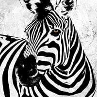 Zebra by sophie