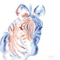 Bakar i plavi Zebra Poster Ispis Aimee del Valle 64964
