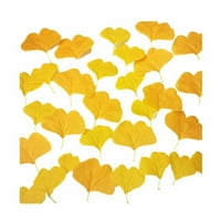 Praznični foto rekviziti Party Potrošni materijal Žuta jesenska atmosfera Artificail Ginkgo Listove