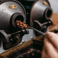 Bristot Linija svježeg proizvoda - arabica espresso pasulj - talijanski espresso grah - srednje