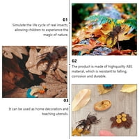 Životni ciklus životinjski brojke figurine Rast Kids Model Edukativna učionica Bug A Insect Faze Safariologija