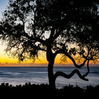 SILHOUETED Drvo na plaži Lydgate na izlasku sunca; Kapaa, Kauai, Havaji, Sjedinjene Američke Države