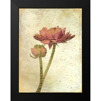 Allen, Kimberly Crni moderni uokvireni muzej umjetnički print pod nazivom - Ranunculus Bloom 1