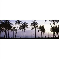 Panoramske slike Palme na plaži Waikiki Honolulu Oahu Hawaii USA Poster Print panoramskim slikama -