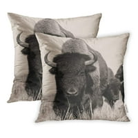Head American Bison Buffalo u Sepiji, stado snimak jednog jastučnicu na jastuku set 2