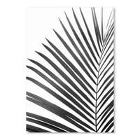 AmericanFlat Palm list od Sisi i SEB postera Art Print