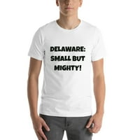 2xl Delaware: Mala, ali moćna