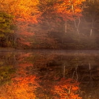 New Jersey, Belleplain Državna šuma Jesenja stablo Odbojnik na jezeru AS: Jay O'Brien Jaynes Galerija