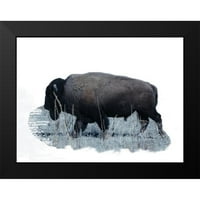 Phillip, Jamie Black Moderni uokvireni muzej Art Print pod nazivom - Grazing Buffalo