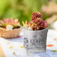 PJTEWAWE Flower Posude Kraft papir kreativni krpa saksija za cvijeću za dnevnu sobu za saksije za saksije
