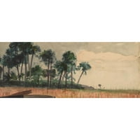 Homer, Winslow Crni moderni uokvireni muzej umjetnički print pod nazivom - palmi, crvena