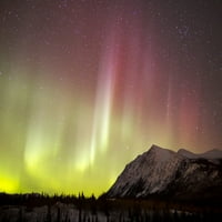 Crvena Aurora Borealis preko pustinje Carcross, Carcross, Yukon, Kanada Print