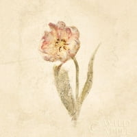 Može se zameniti tulipanjem na bijelom posteru za obrezivanje ispis Cheri Blum