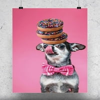 Chihuahua Balansiranje krofne Poster -Image by Shutterstock