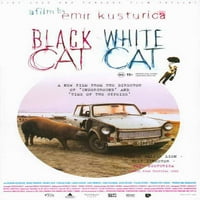 Crna mačka, bijeli CAT filmski poster Print - artikl Movaf1956