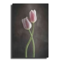 Luxe Metal Art 'Spring Tulips V' od Debra Van Swearingen, Metalna zida Art, 16 x24
