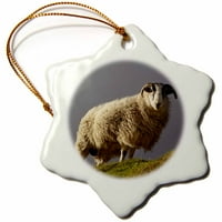 3drose ovčje višebojne porculansko odmori za odmor Accent Snowflake Ornament, 3