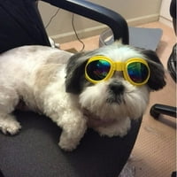 Prettyui Naočale za pse UV zaštitu doggy sunčane naočale Vjetrootporne ljubimce za kućne ljubimce za