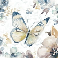 Butterfly Beauty II Poster Print napircia Pinto 15615A