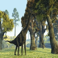 Dva brachiosaurus dinosaurusi hodaju među velikim stablima u prapovijerskom posteru era Ispis