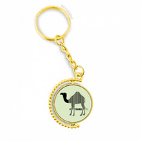 Vodeni resursi Pustinjska umjetnost Deco modni metalni priključak Ključni prsten za prsten za ključeve