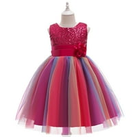 Rođendanska haljina za djevojke Djevojke Formalna haljina Cvjetni cvjetni rođendan Tulle Mesh Toddler
